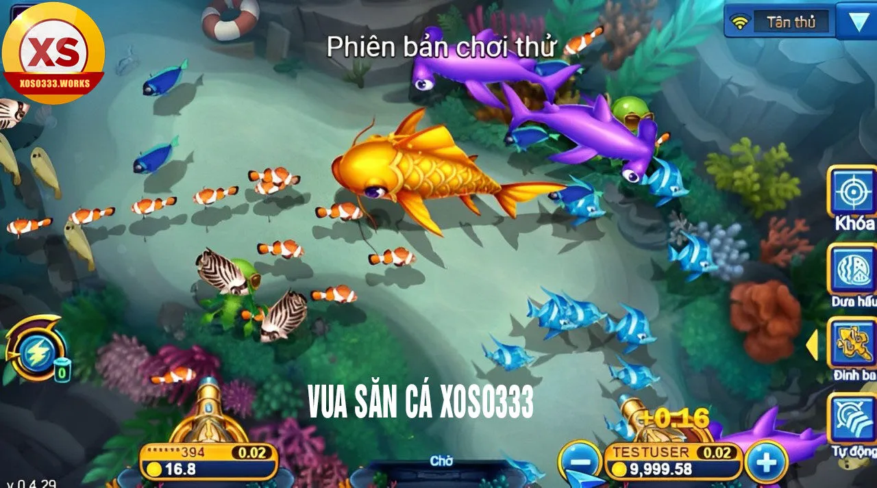 vua săn cá xoso333